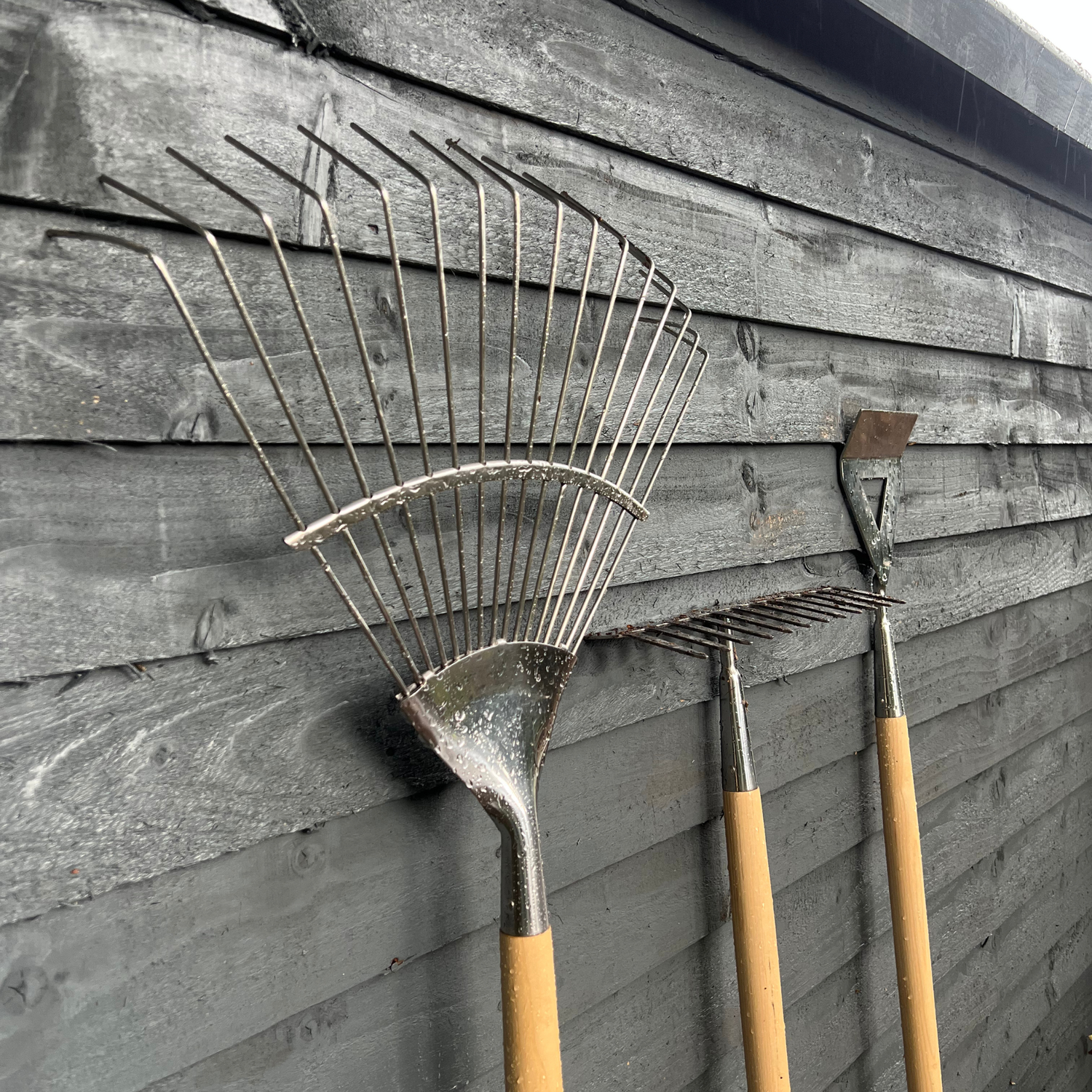 Growers Own Stainless Steel Border Rake w/ Ashwood Handle