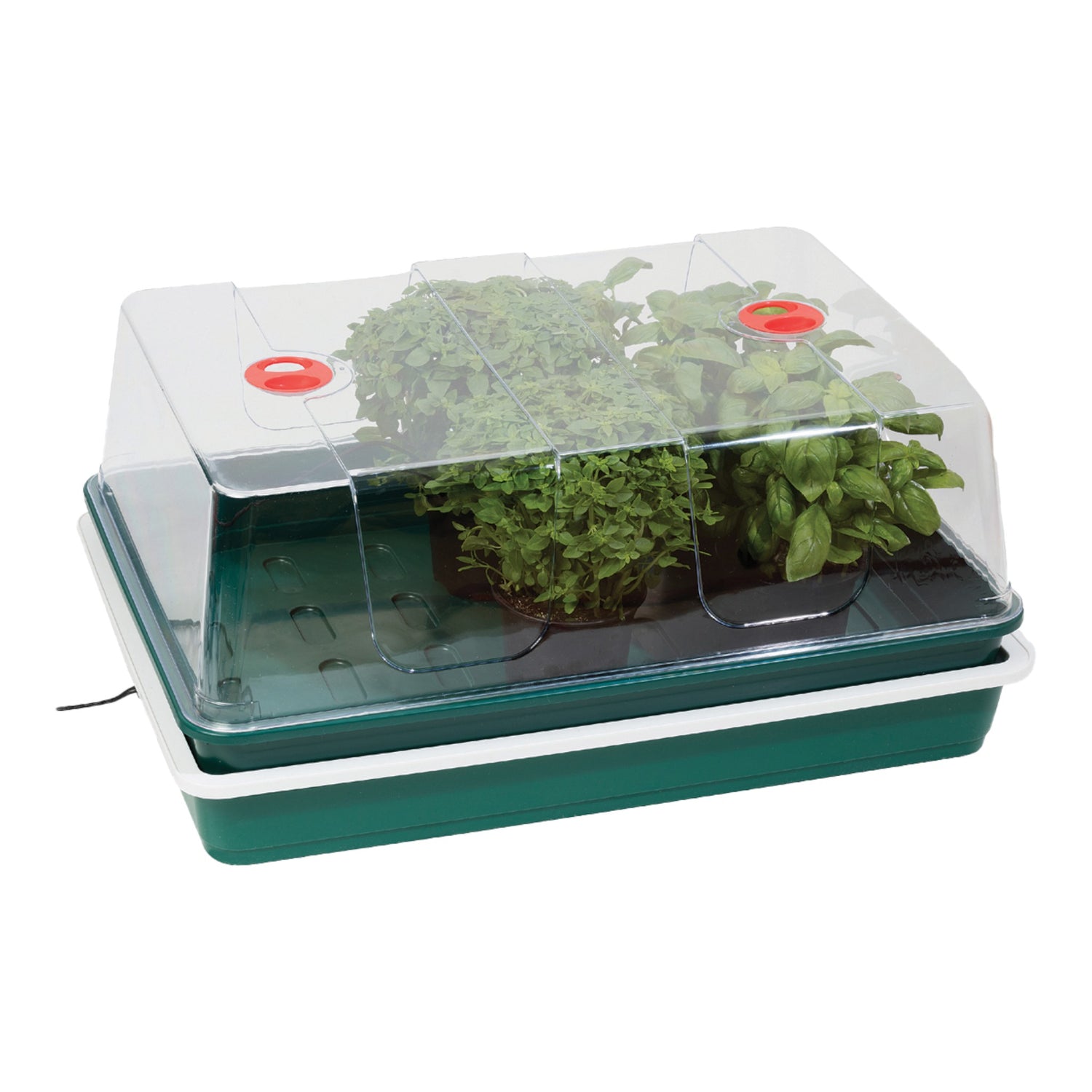 GARLAND XL High Dome Electric Propagator