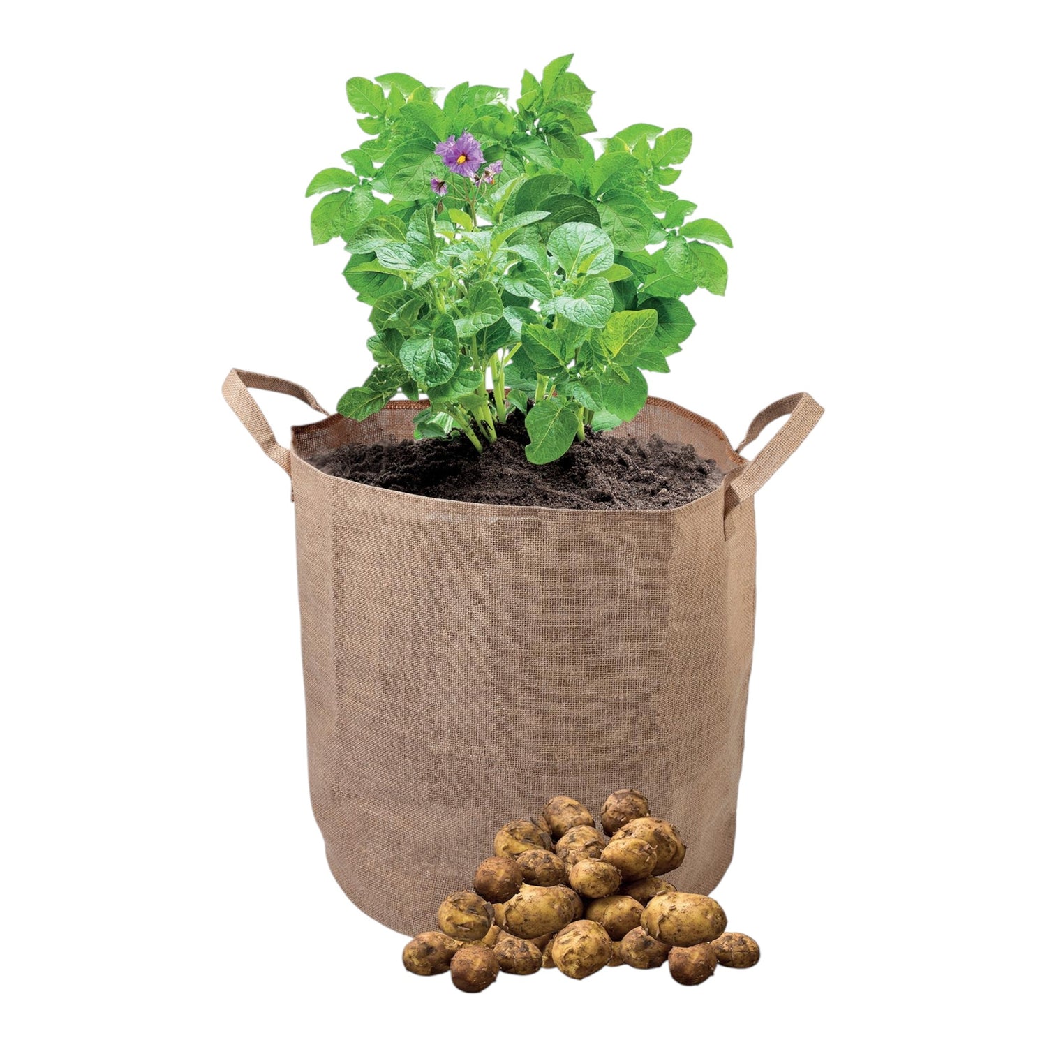 GARLAND Jute Potato Bag (15 per box)