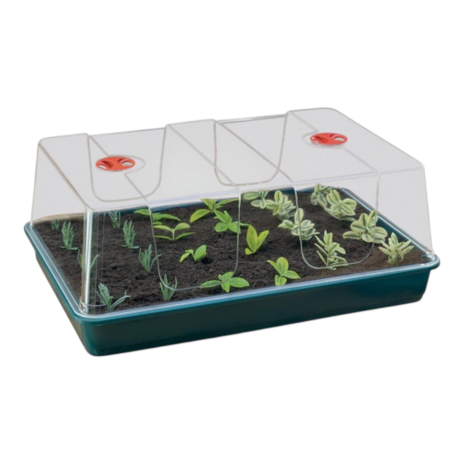 GARLAND XL High Dome Propagator Black Without Holes (3 per box)