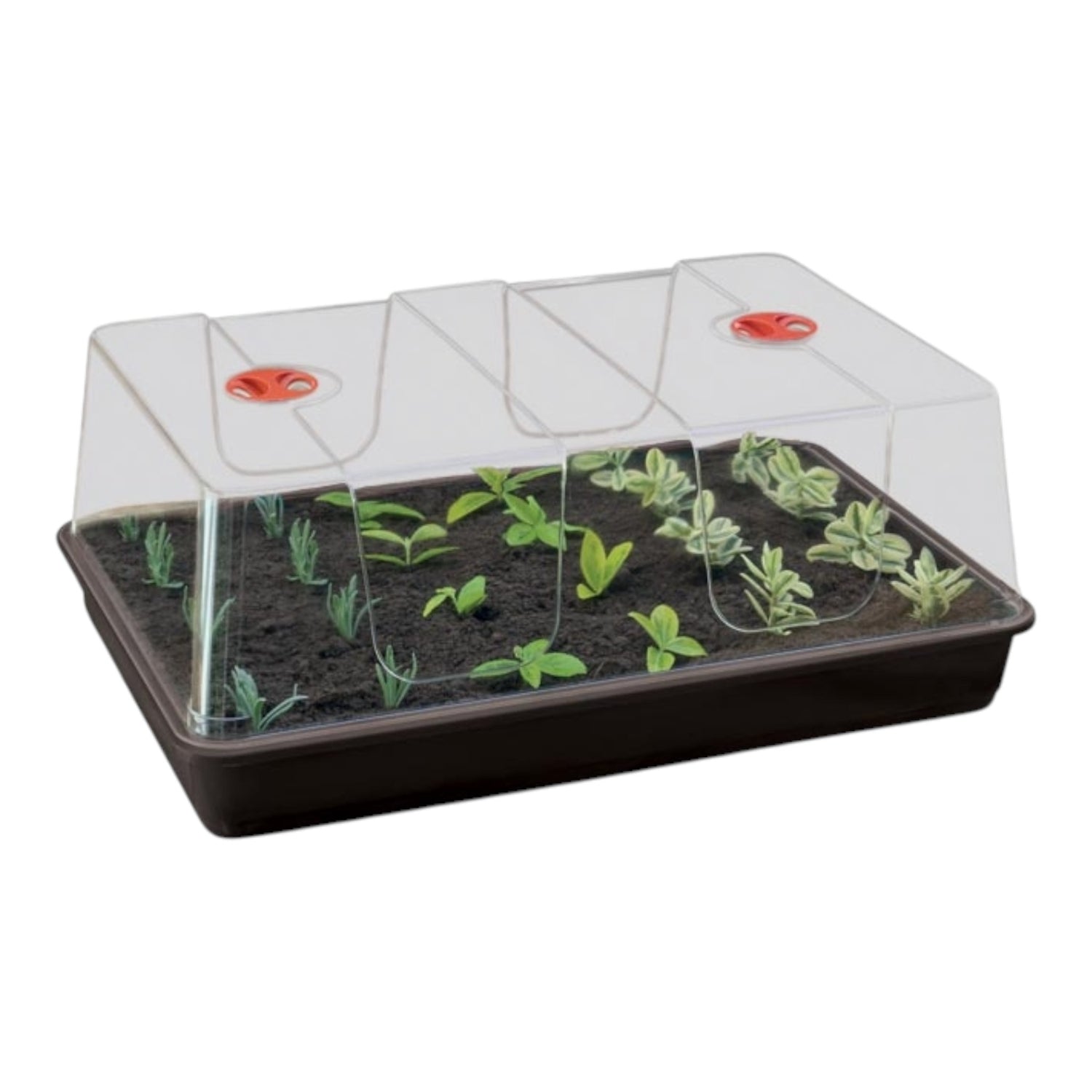 GARLAND XL High Dome Propagator Black Without Holes (3 per box)