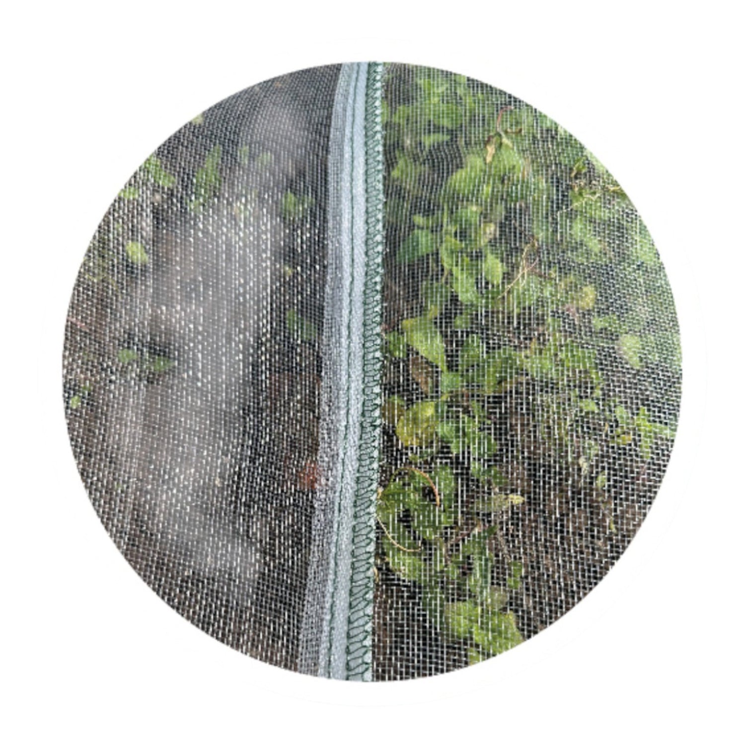 Insect Netting 2M x 100M 65gsm