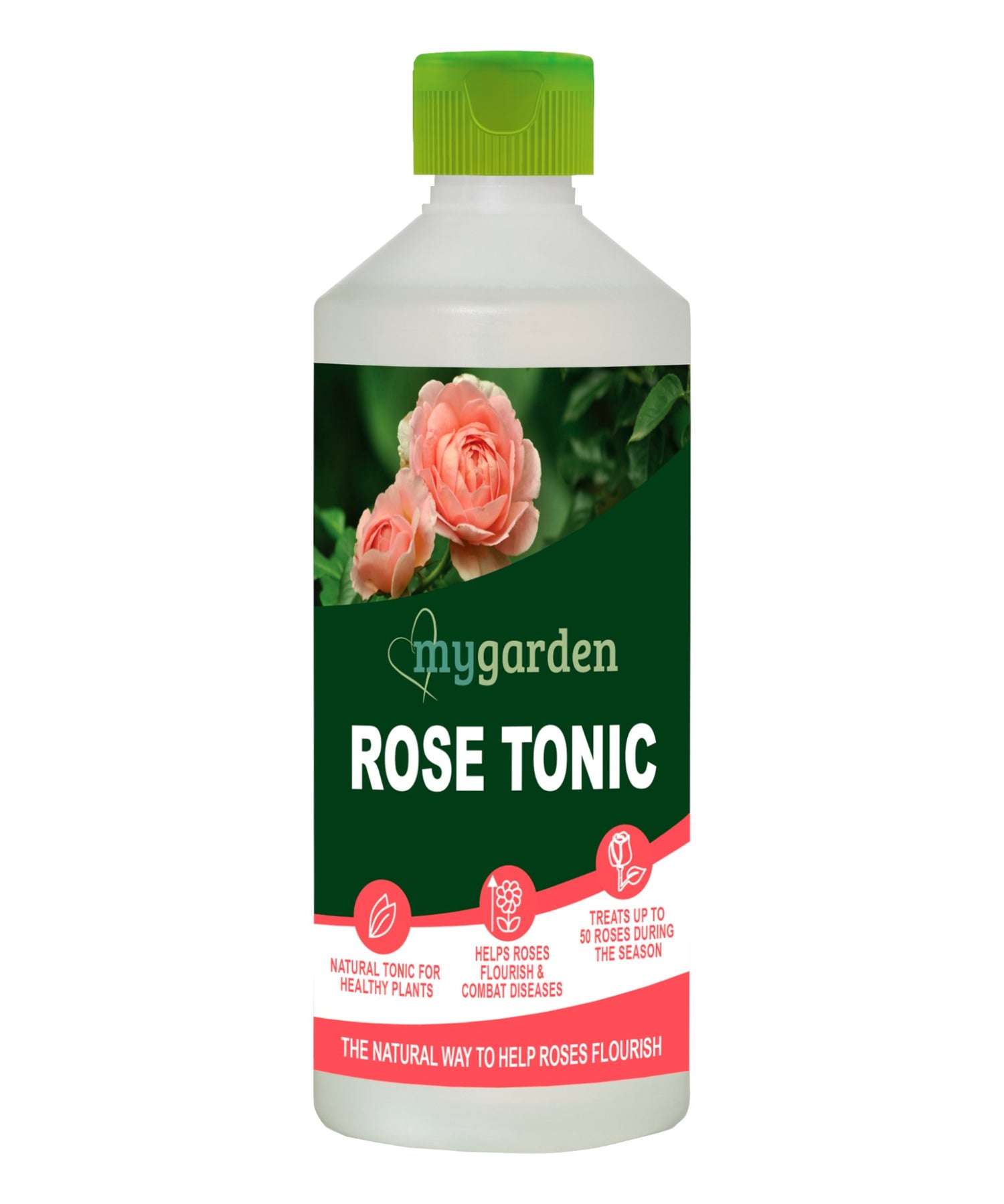 Rose Tonic Concentrate 500ml (6 per box)