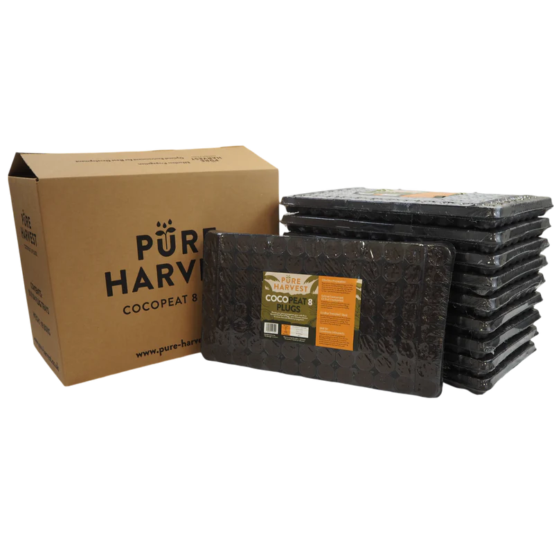 Pure Harvest CocoPeat 8 - 104 Plugs - 1 Box of 10 Trays