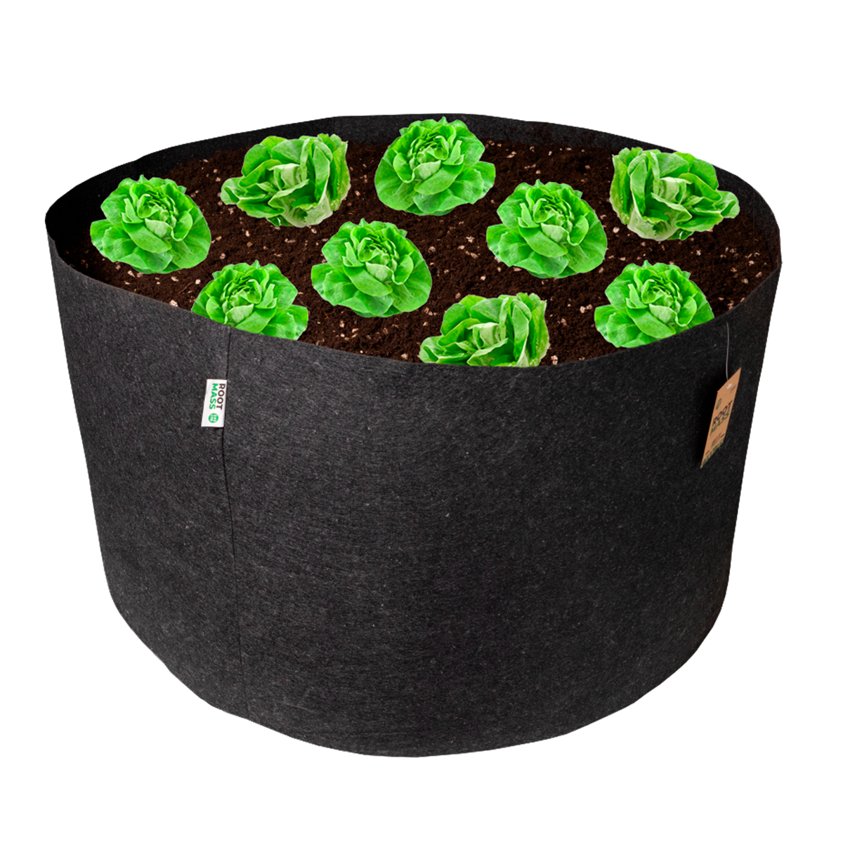 RootMASS 245L Fabric Bed ** WAS £7.50