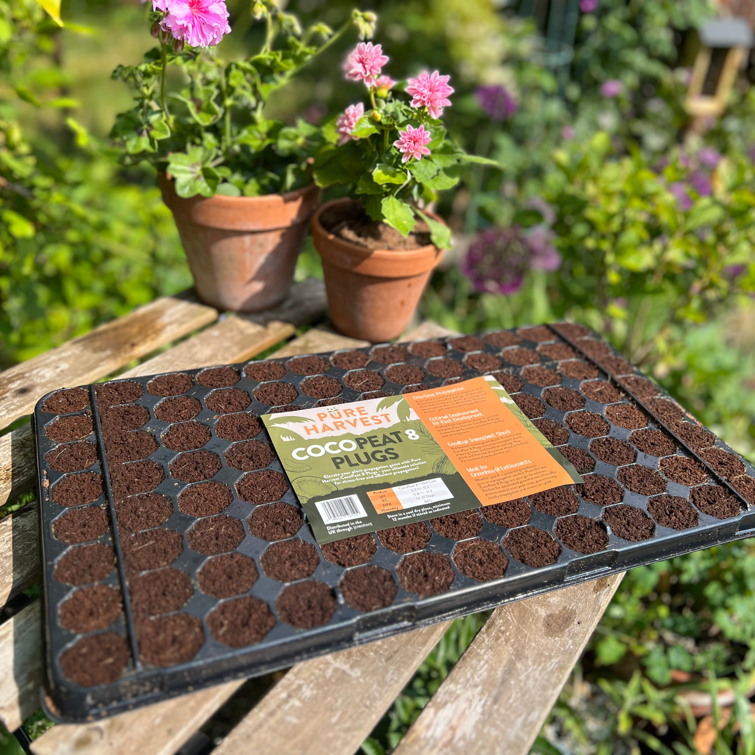 Pure Harvest CocoPeat 8 - 104 Plugs - 1 Box of 10 Trays