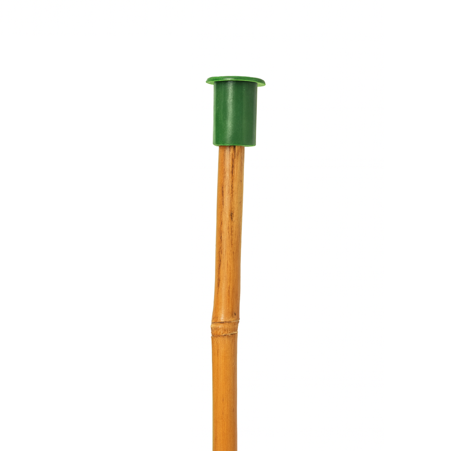 Cane Cap for Large Thick Canes GREEN (Box of 1000)