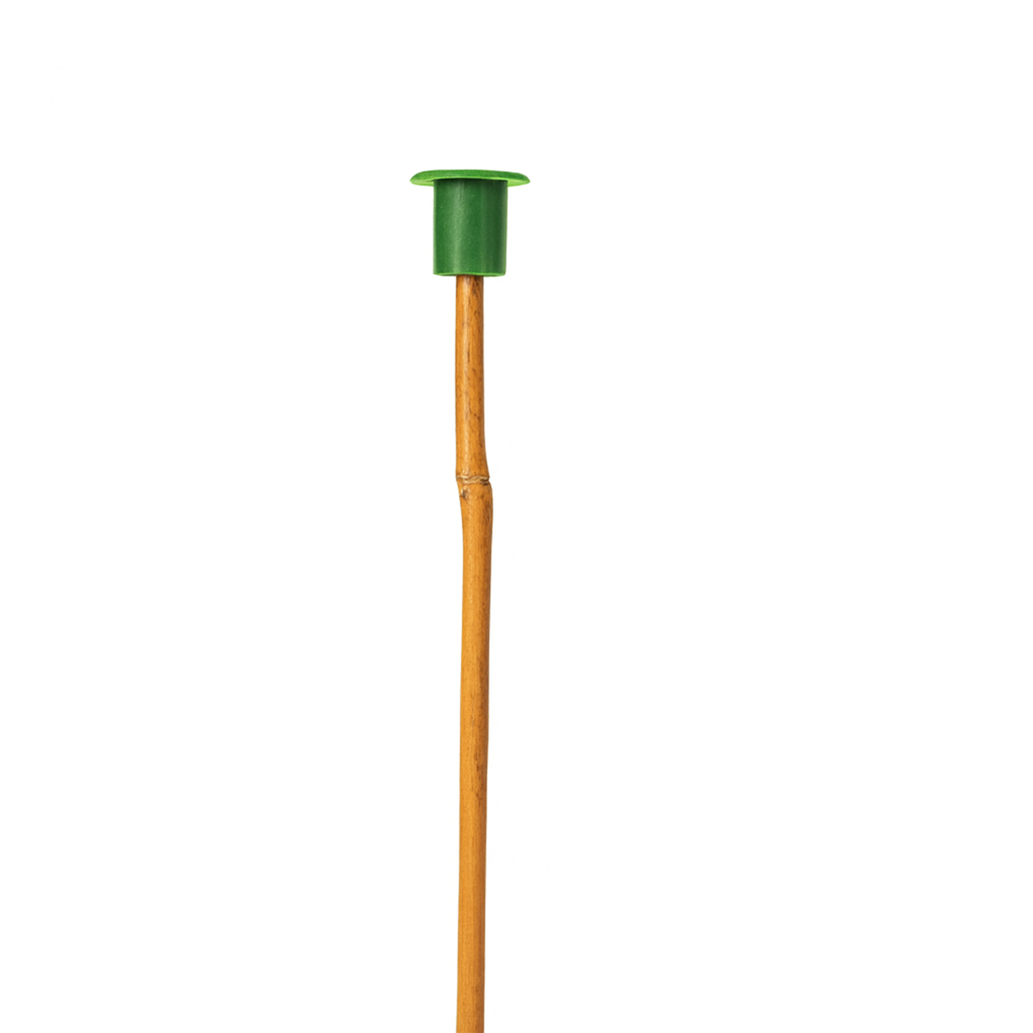 Caps for Thin Bamboo Canes GREEN (Box of 1000)